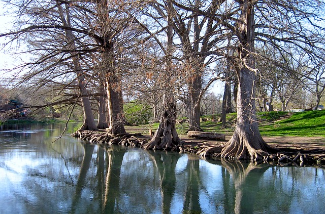 Thrifty Texas: Budget Exploration of Lone Star Highlights