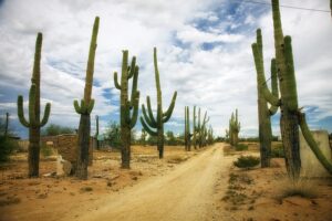 tucson-arizona-640x480-29519132.jpeg