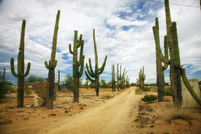 tucson-arizona-640x480-29519132.jpeg