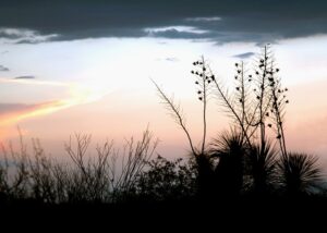 tucson-arizona-640x480-3270665.jpeg