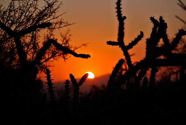 tucson-arizona-640x480-52159001.jpeg