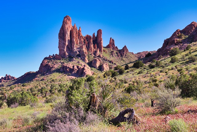 Tucson, Arizona