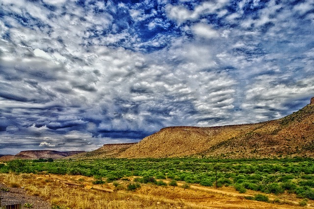 Arizona