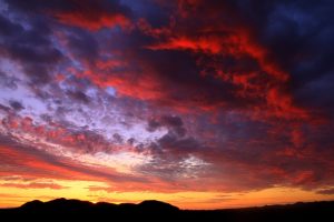 arizona-640x480-39875194.jpeg
