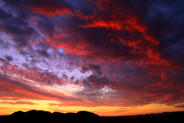 arizona-640x480-39875194.jpeg