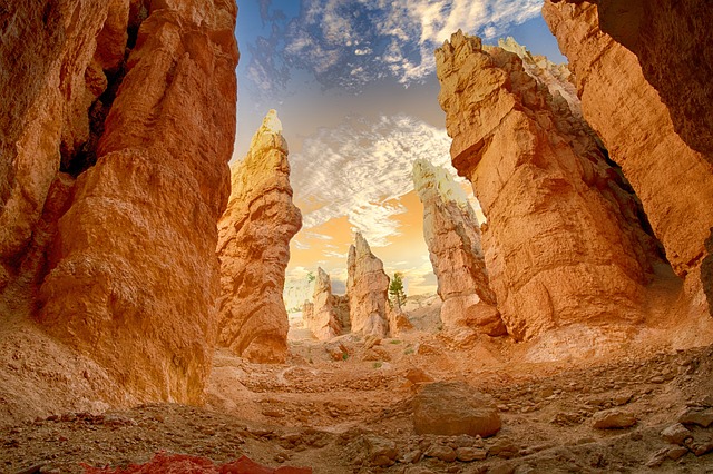 Arizona