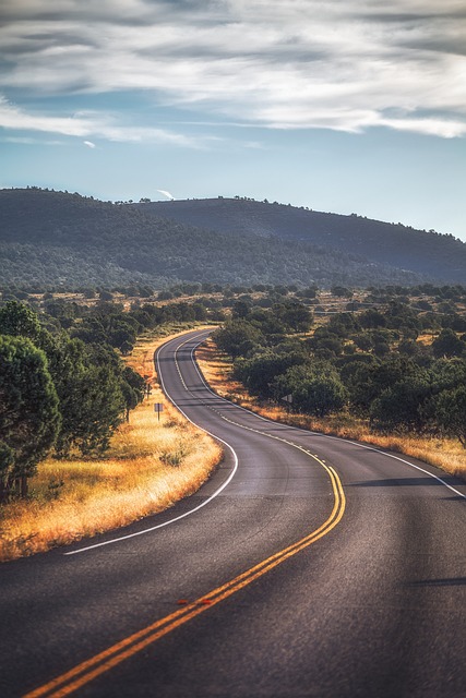 Arizona