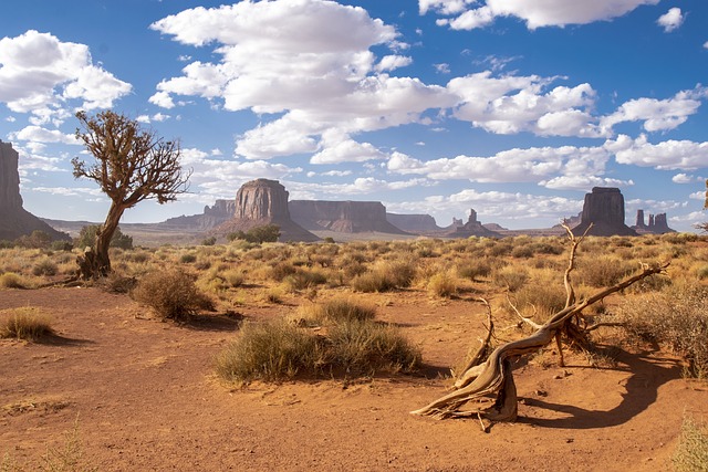 Arizona
