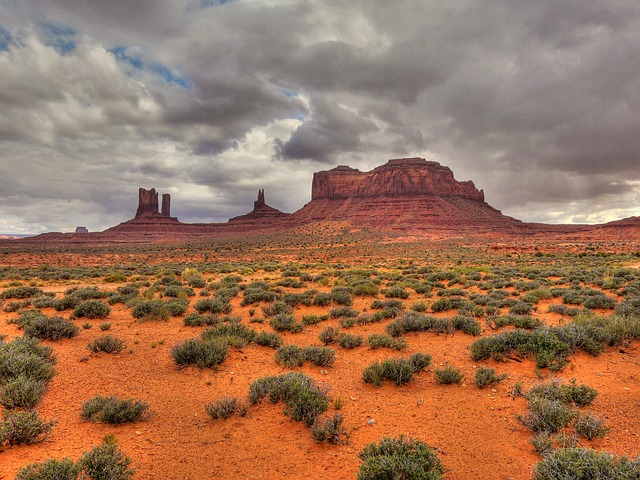 Arizona
