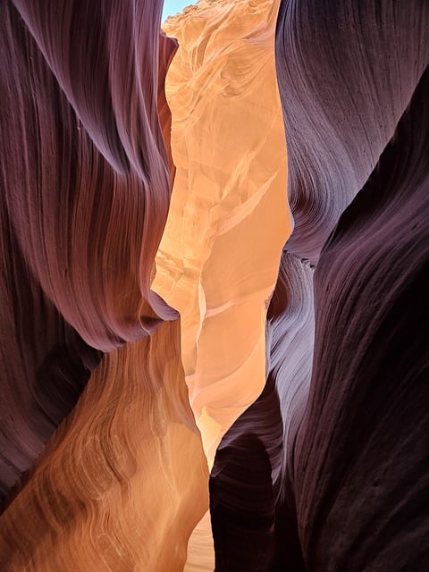 Arizona