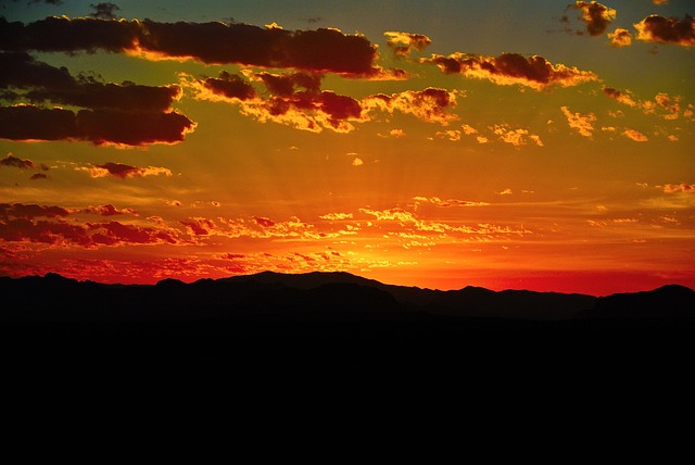 Arizona
