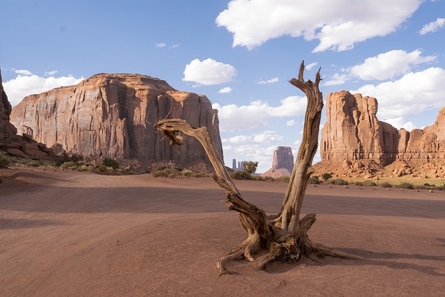 Arizona