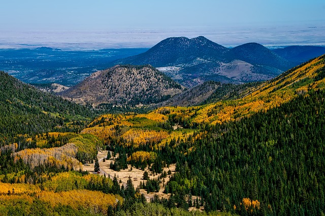 Arizona
