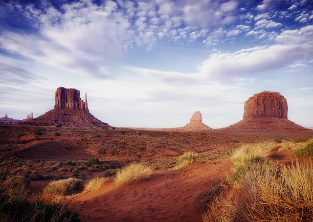 Arizona