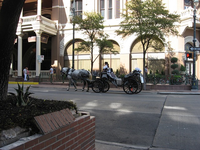 Austin TX
