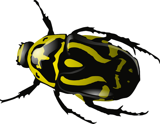 bugs