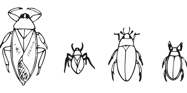 bugs