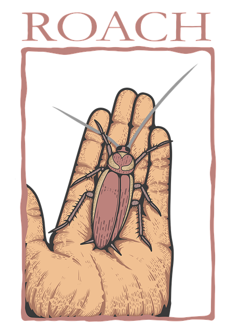 cockroach