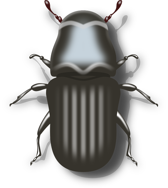 Tucson Roach Face-Off: Distinguishing American from German Cockroaches and Expert Eradication Strategies