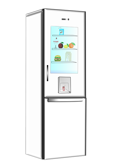 home appliances, modern kitchen