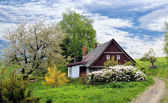 home remodel