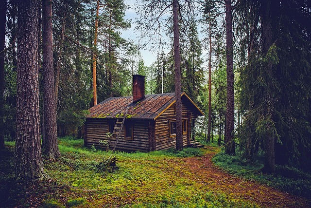 Home Repairs