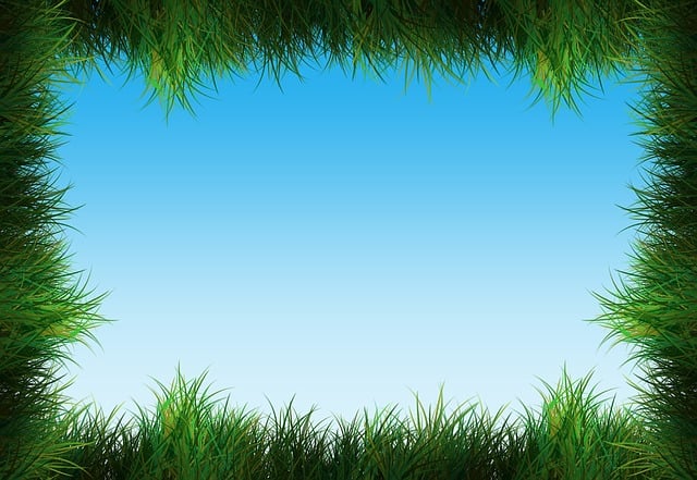 Lawn Care, Landscaping