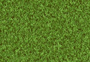 lawn-care-landscaping-640x480-13366881.jpeg