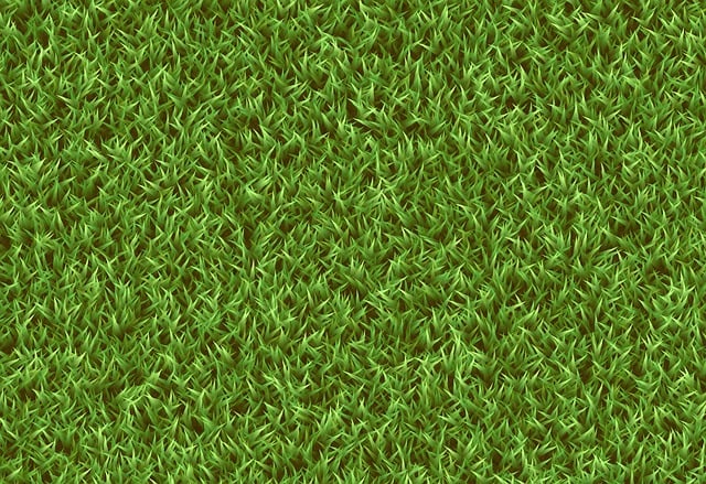 lawn-care-landscaping-640x480-13366881.jpeg