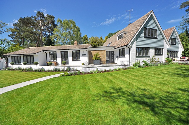Lawn Care, Landscaping
