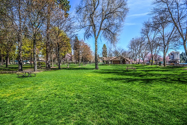 Lawn Care, Landscaping