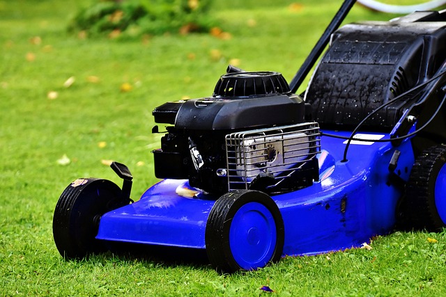 Lawn Care, Landscaping