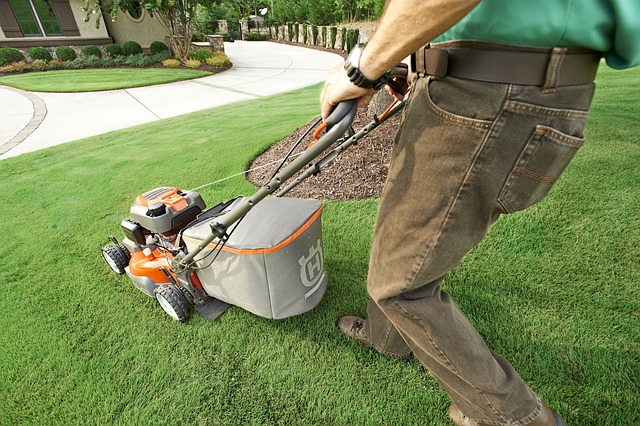 Lawn Care, Landscaping