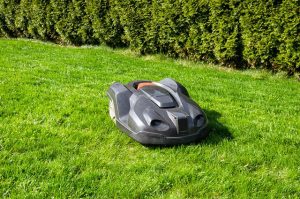 lawn-care-landscaping-640x480-49069139.jpeg
