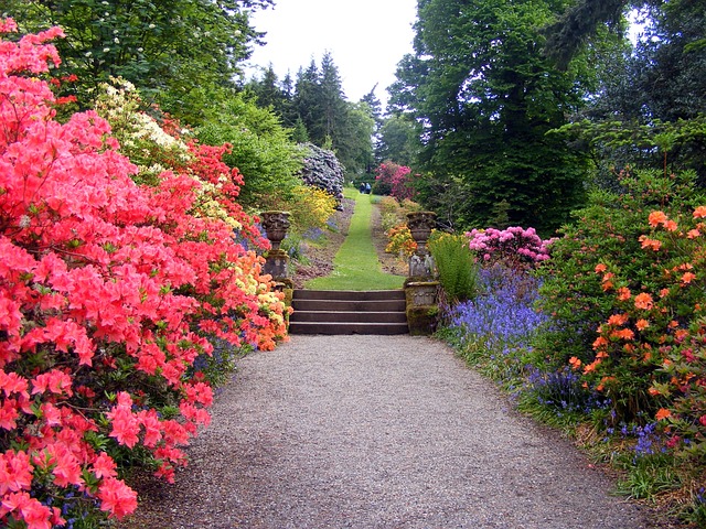Lawn Care, Landscaping