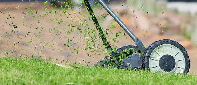 Lawn Care, Landscaping