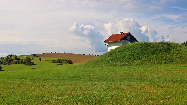 Lawn Care, Landscaping