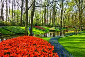 lawn-care-landscaping-640x480-73313723.jpeg