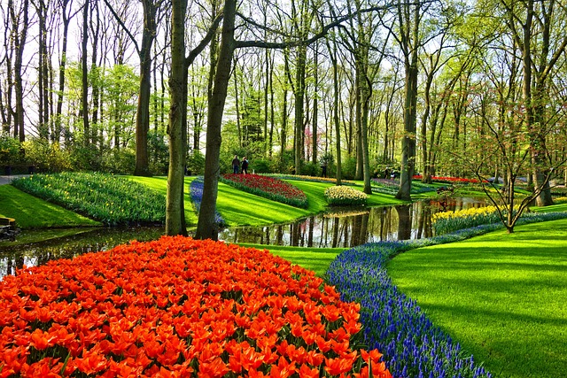 lawn-care-landscaping-640x480-73313723.jpeg