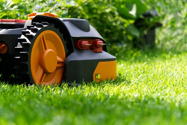 lawn-care-landscaping-640x480-76599446.jpeg