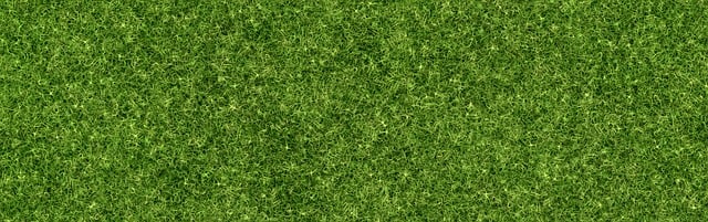 Lawn Care, Landscaping