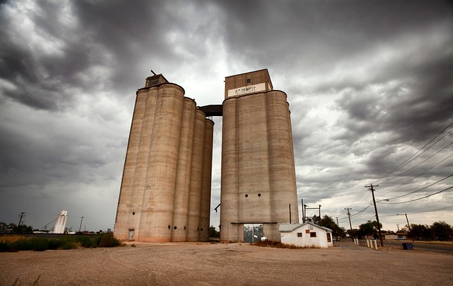 New Mexico