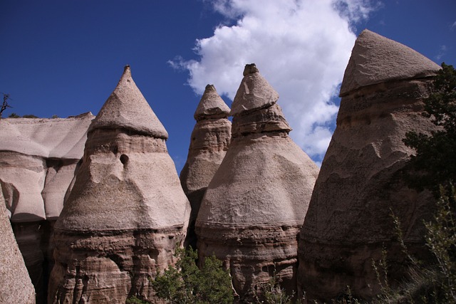 New Mexico