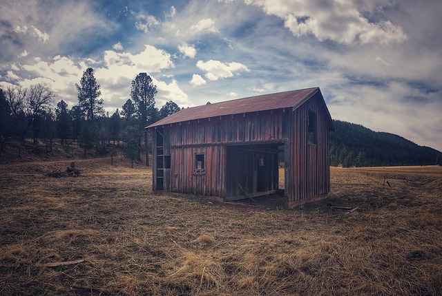 New Mexico