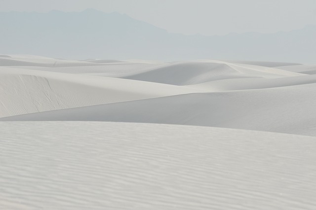 New Mexico