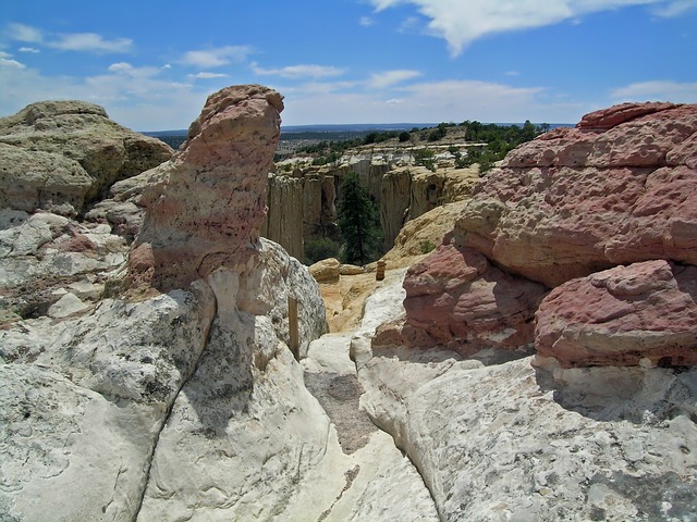New Mexico