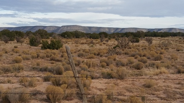 New Mexico