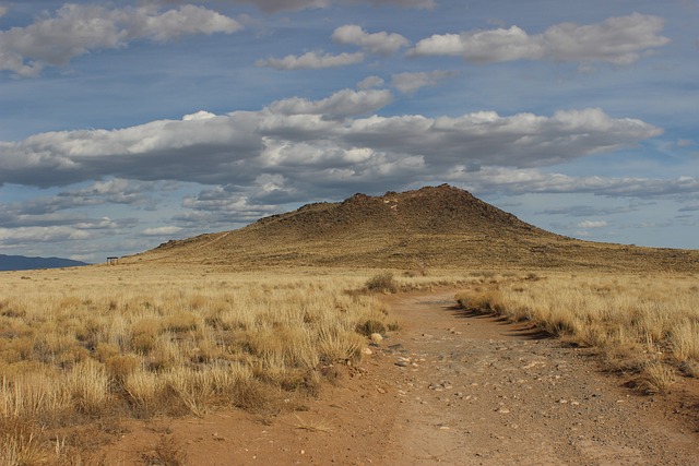 New Mexico