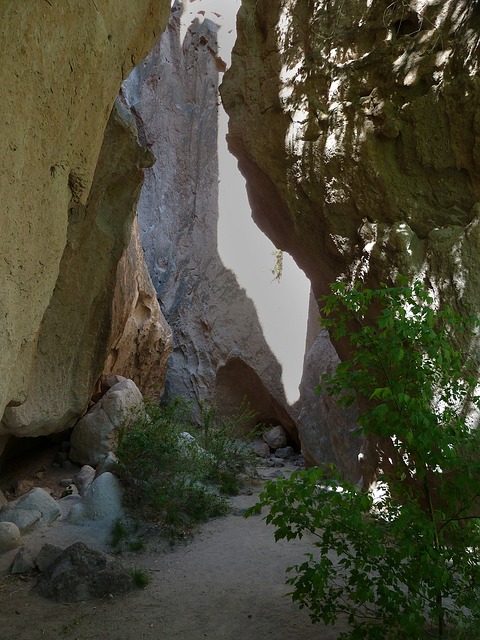 New Mexico