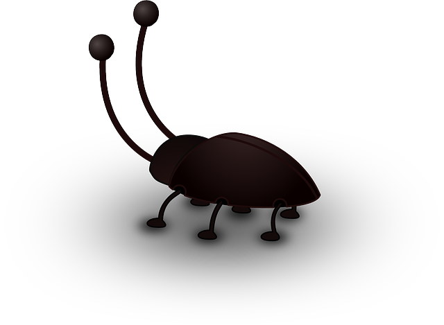 10 Practical DIY Roach Prevention Strategies for Homeowners in Tucson